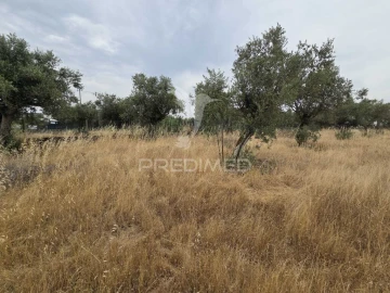 Terreno para Venda em Vila Nova da Barquinha