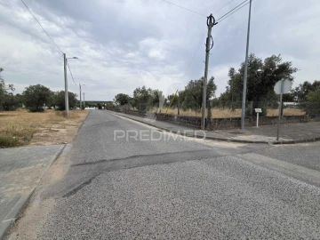 Terreno para Venda em Vila Nova da Barquinha