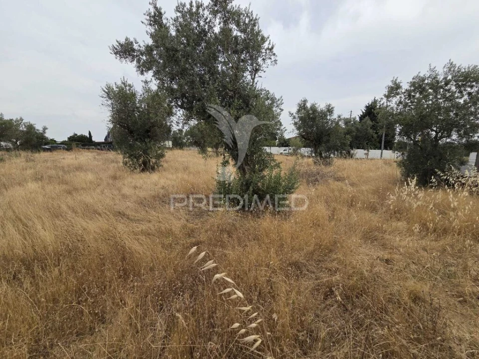 Terreno para Venda em Vila Nova da Barquinha Foto 13