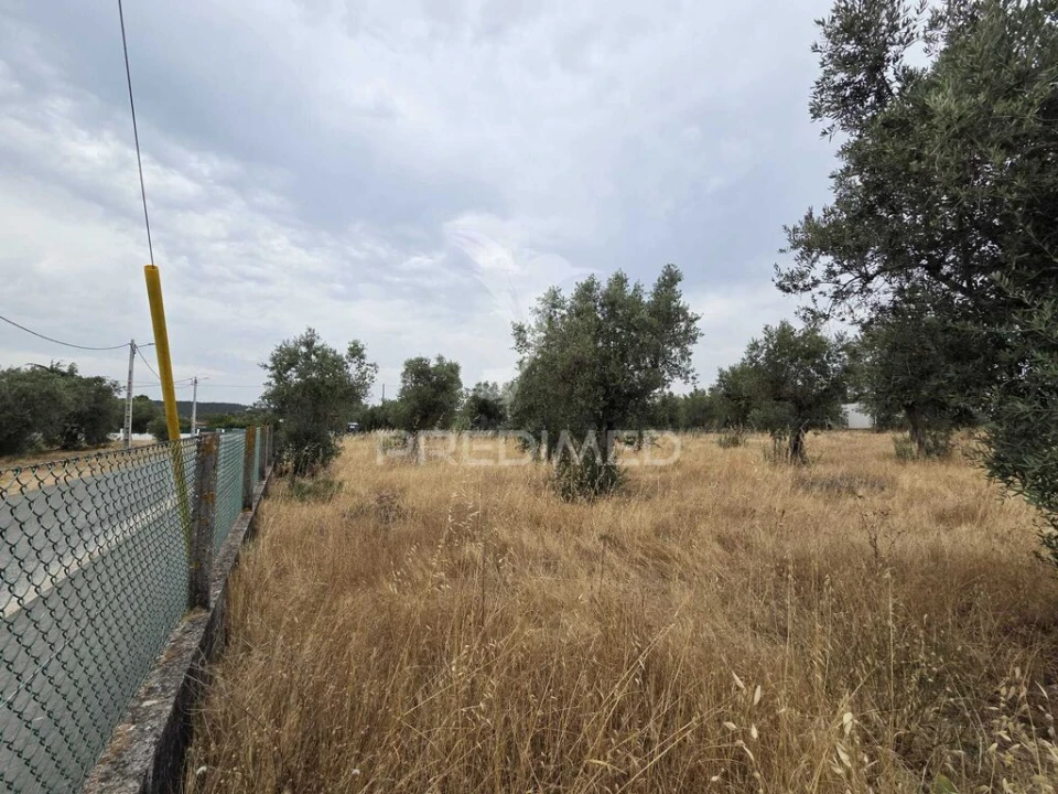 Terreno para Venda em Vila Nova da Barquinha Foto 19
