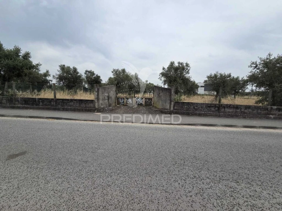 Terreno para Venda em Vila Nova da Barquinha Foto 2