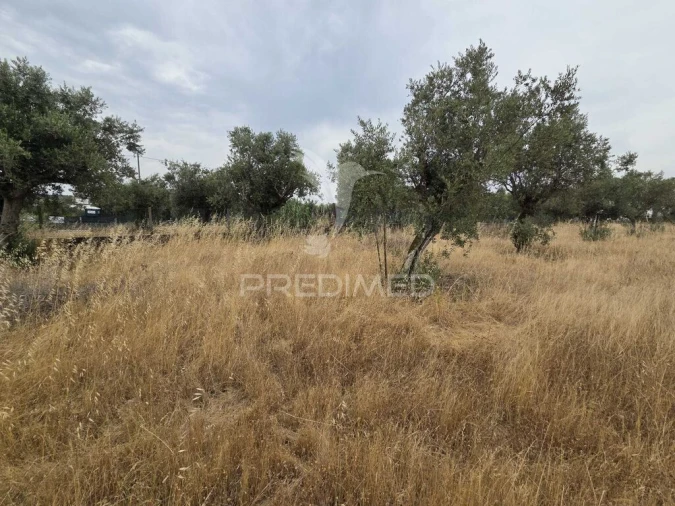 Terreno para Venda em Vila Nova da Barquinha Foto 16