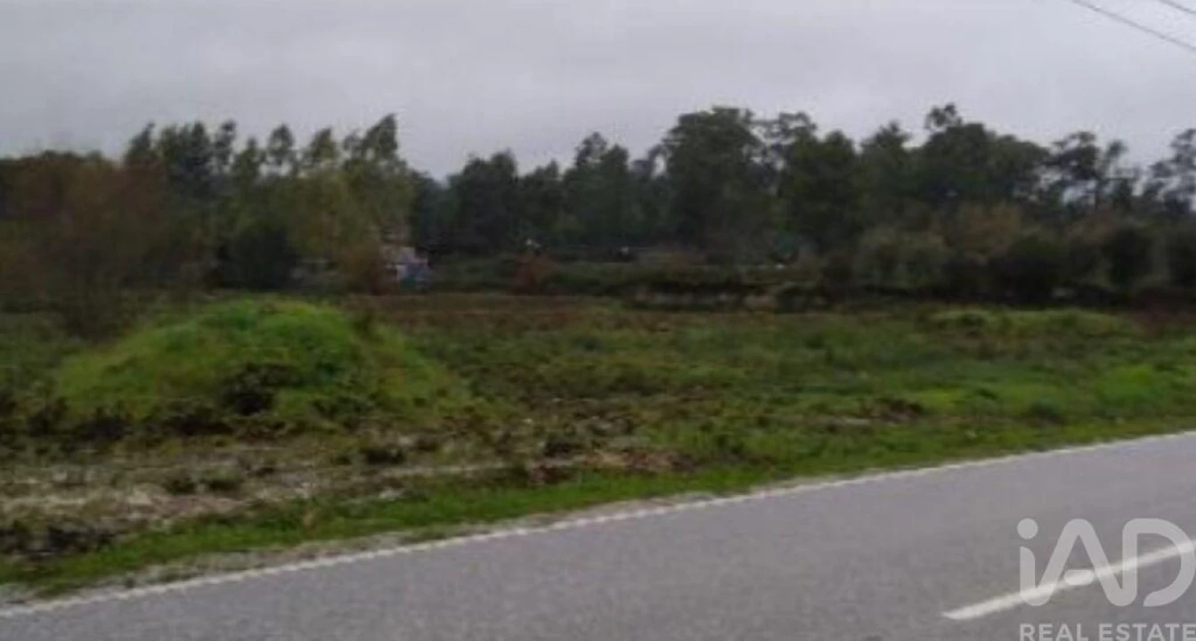 Terreno para Venda em Canas de Santa Maria Foto 2