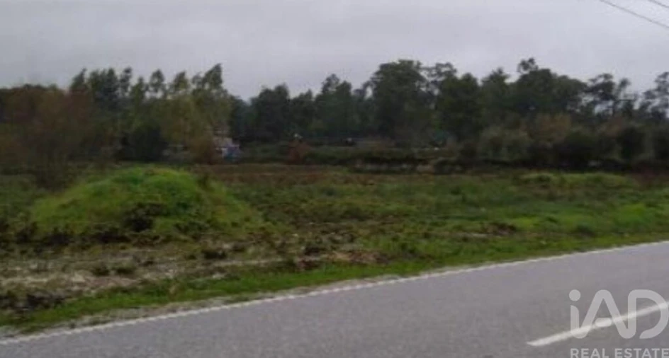 Terreno para Venda em Canas de Santa Maria Foto 2