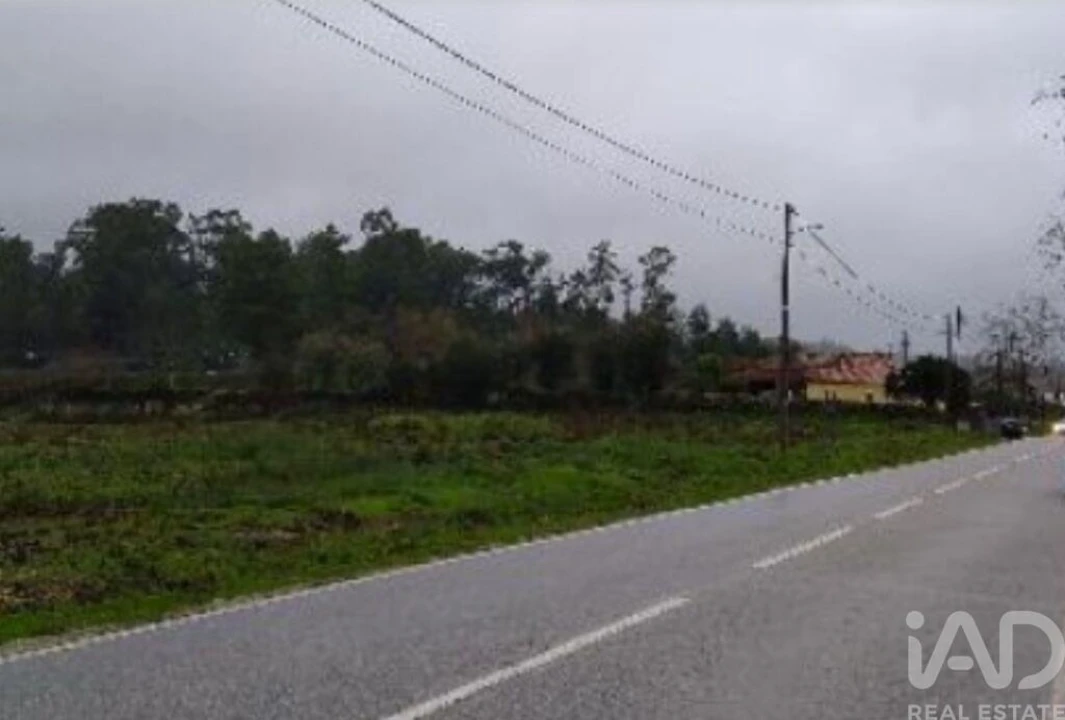 Terreno para Venda em Canas de Santa Maria Foto 1