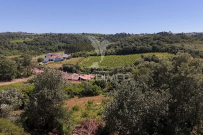 Quinta para Venda em Carnota
