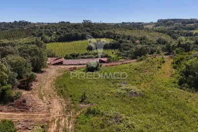 Quinta para Venda em Carnota