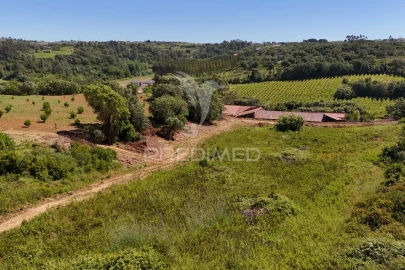 Quinta para Venda em Carnota