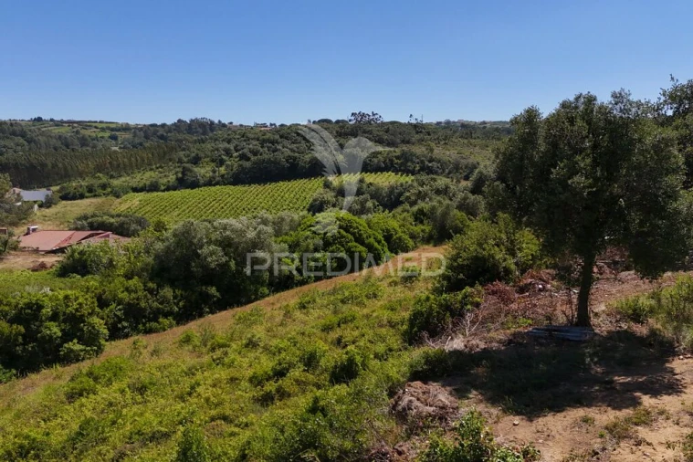 Quinta para Venda em Carnota Foto 16