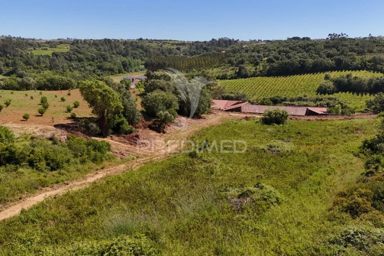 Quinta para Venda em Carnota Foto 17
