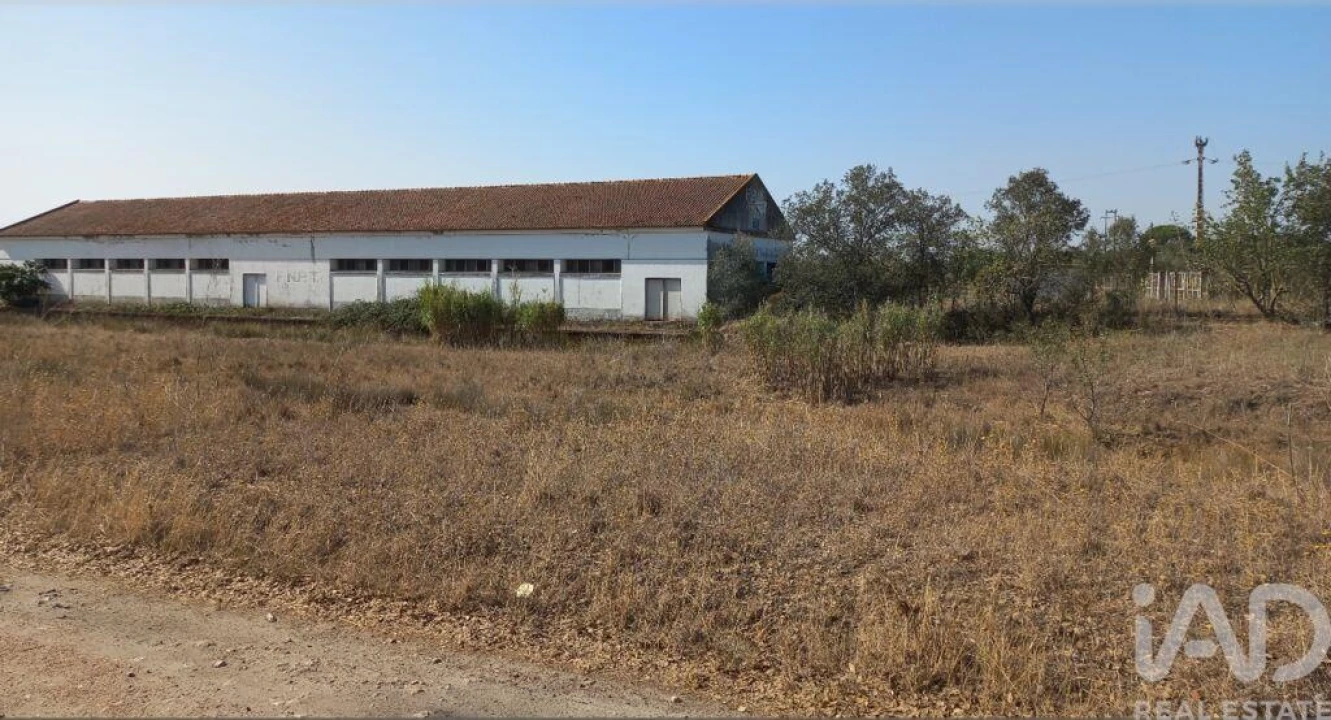 Armazém para Venda em Pavia Foto 4