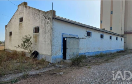 Armazém para Venda em Pavia