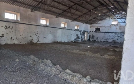 Armazém para Venda em Pavia
