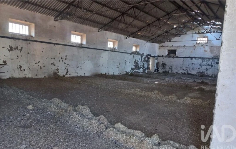 Armazém para Venda em Pavia Foto 3