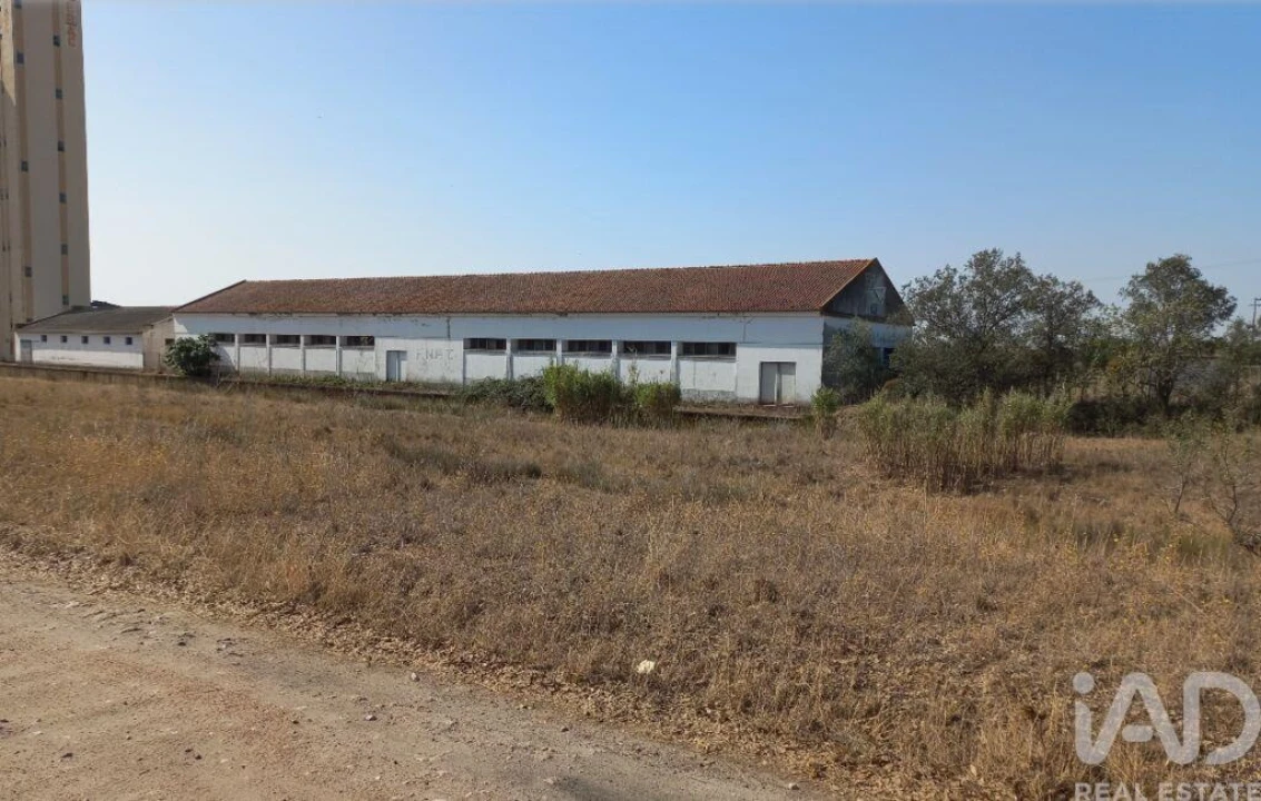 Armazém para Venda em Pavia Foto 1