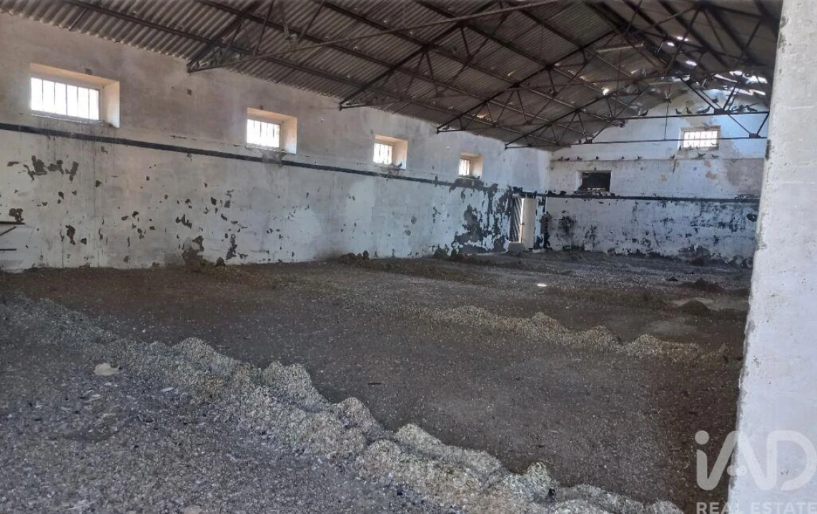 Armazém para Venda em Pavia Foto 3