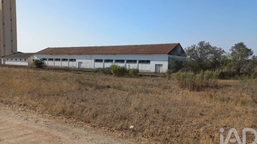 Armazém para Venda em Pavia