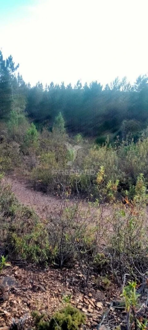 Terreno para Venda em São Marcos da Serra