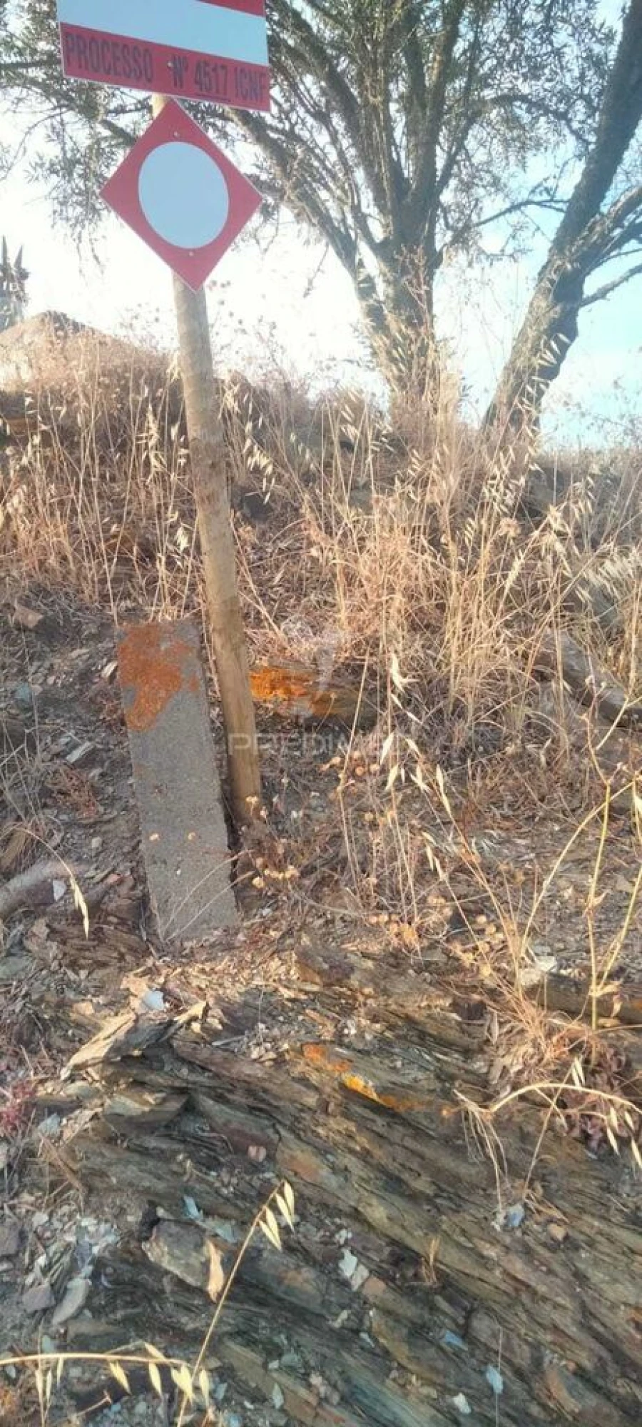 Terreno para Venda em São Marcos da Serra Foto 4