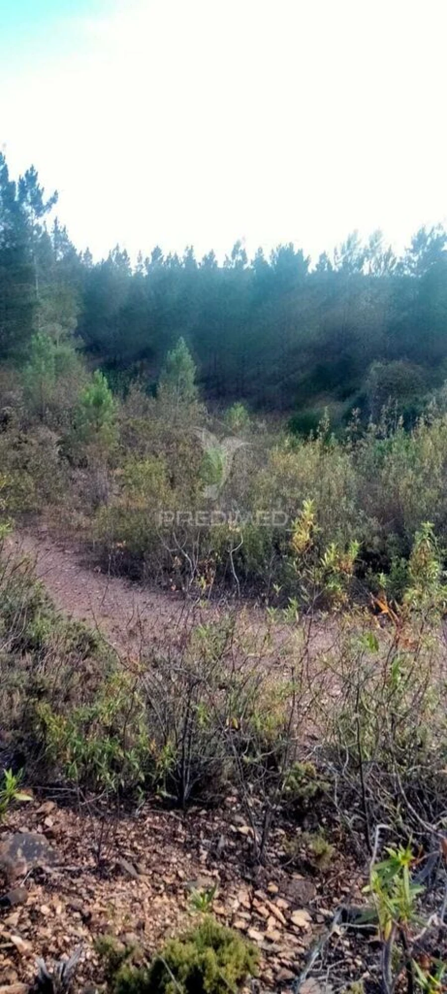 Terreno para Venda em São Marcos da Serra Foto 5