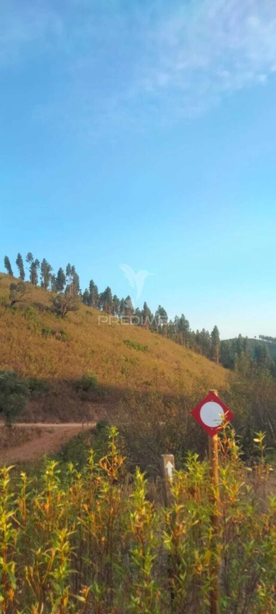 Terreno para Venda em São Marcos da Serra Foto 9