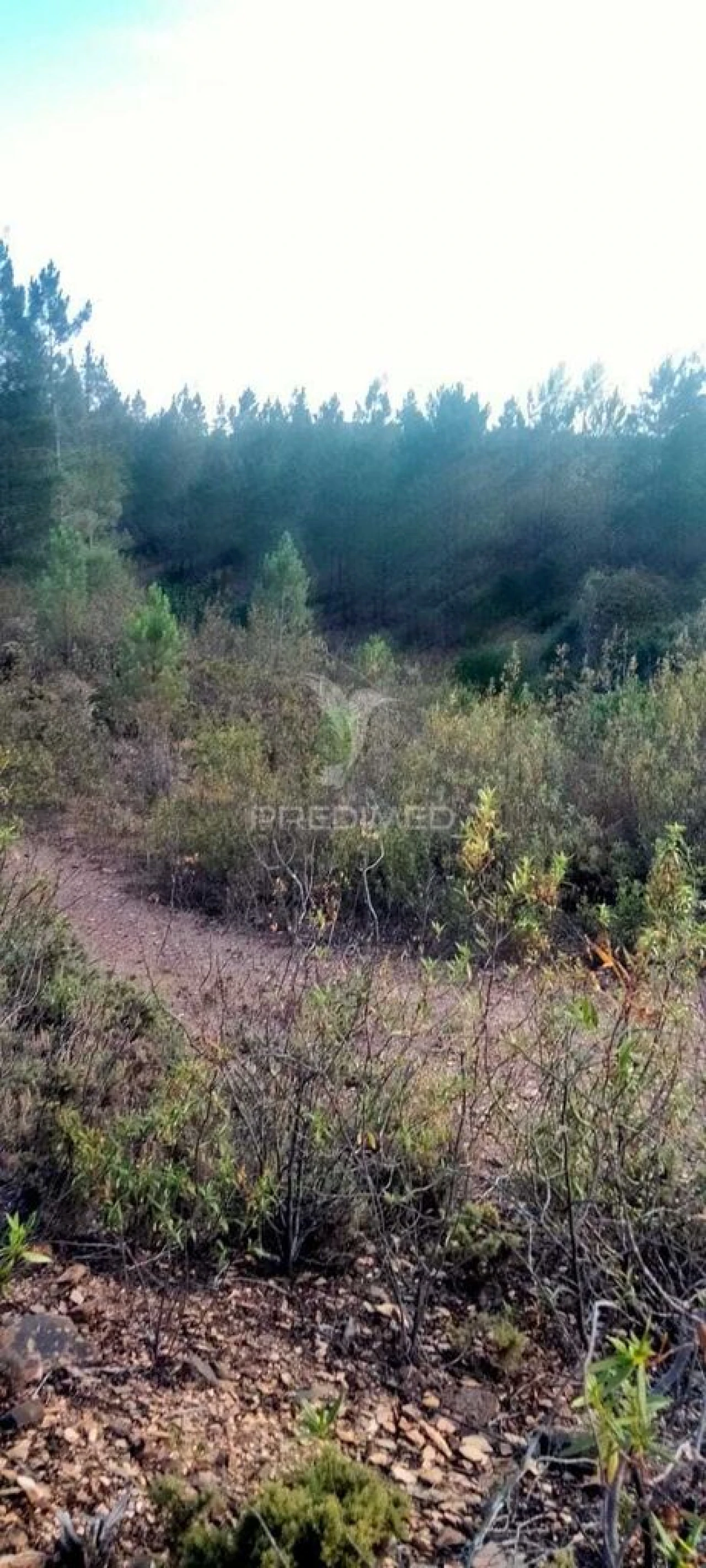 Terreno para Venda em São Marcos da Serra Foto 5