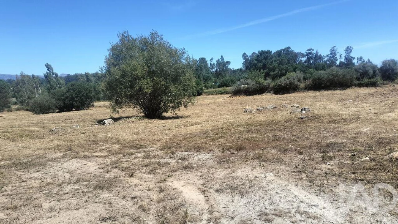 Terreno para Venda em Canas de Santa Maria Foto 26