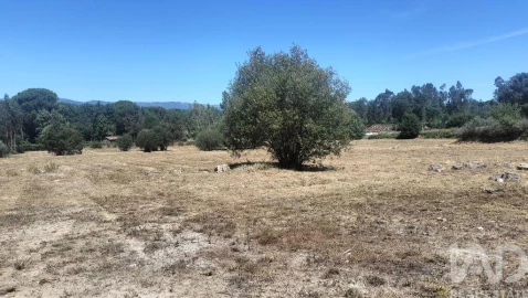 Terreno para Venda em Canas de Santa Maria