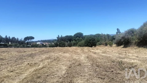 Terreno para Venda em Canas de Santa Maria