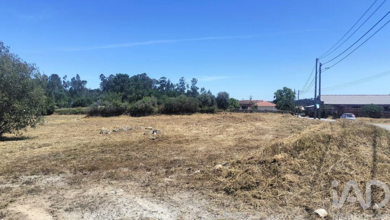 Terreno para Venda em Canas de Santa Maria Foto 27