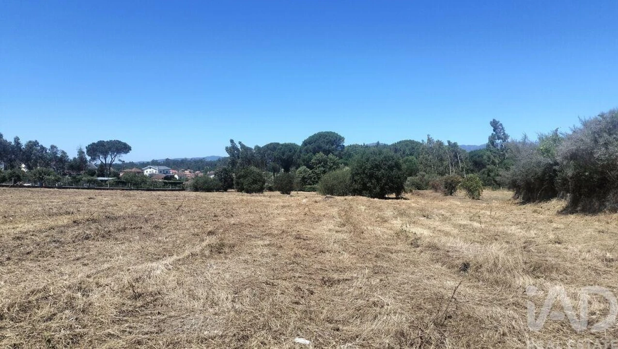 Terreno para Venda em Canas de Santa Maria Foto 15