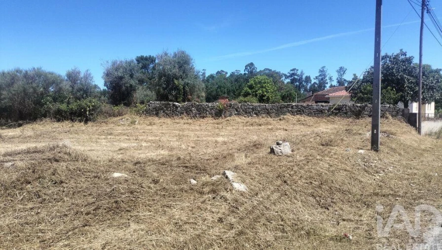 Terreno para Venda em Canas de Santa Maria Foto 6