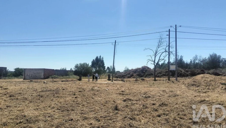 Terreno para Venda em Canas de Santa Maria Foto 23