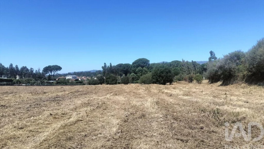 Terreno para Venda em Canas de Santa Maria Foto 12