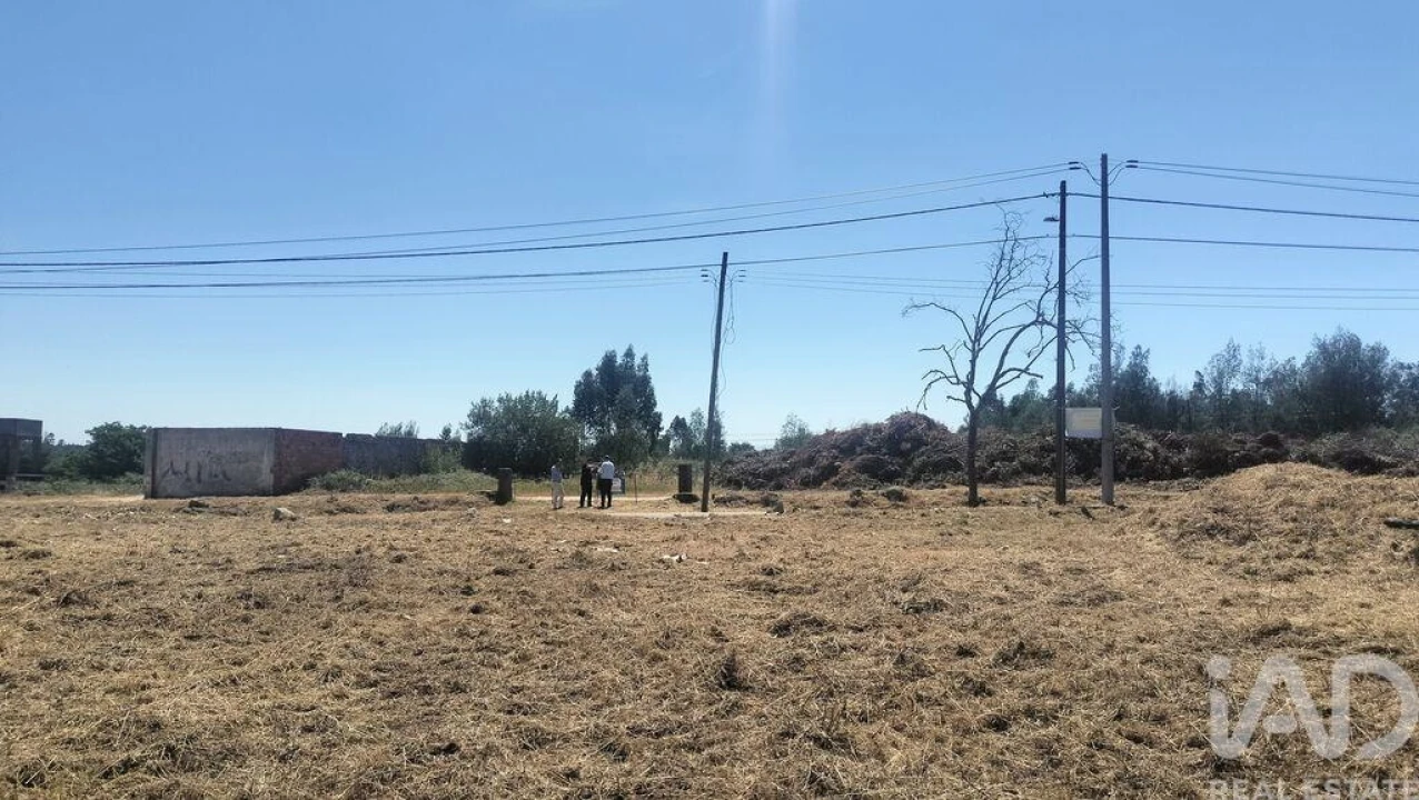 Terreno para Venda em Canas de Santa Maria Foto 23