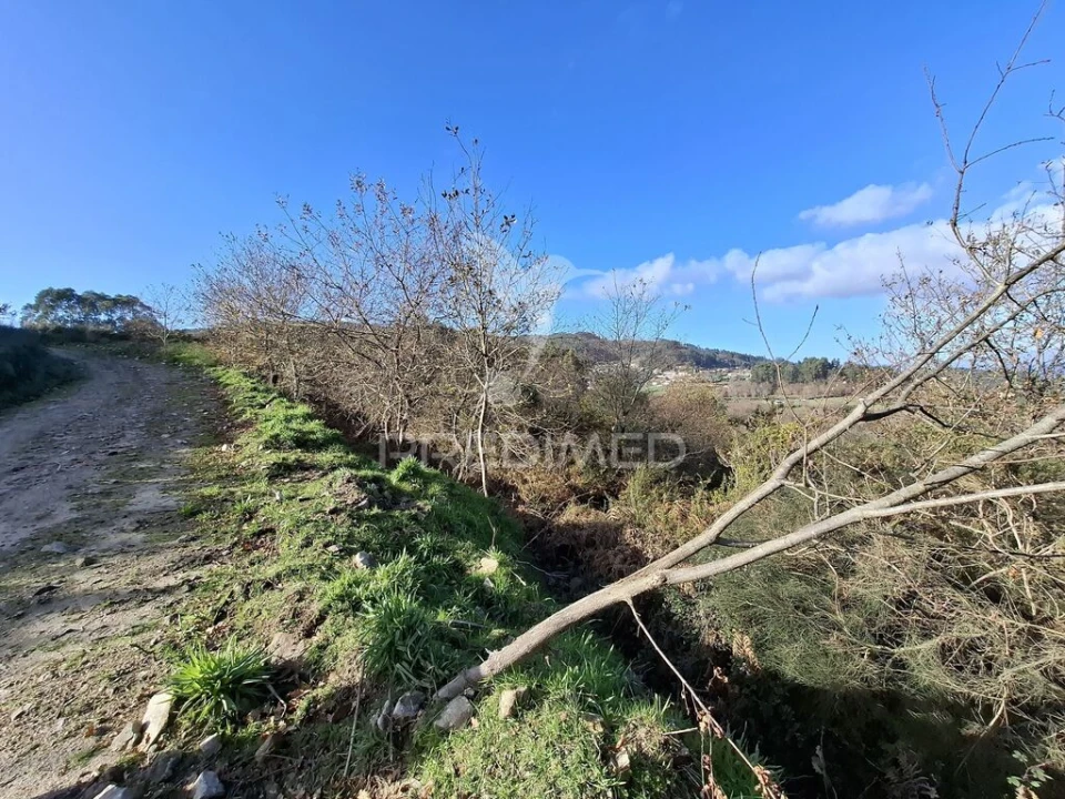 Terreno para Venda em Valbom (São Pedro), Passô e Valbom (São Martinho) Foto 8