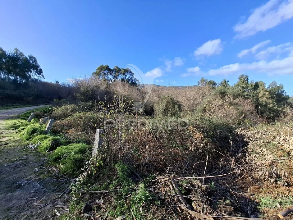 Terreno para Venda em Valbom (São Pedro), Passô e Valbom (São Martinho) Foto 6