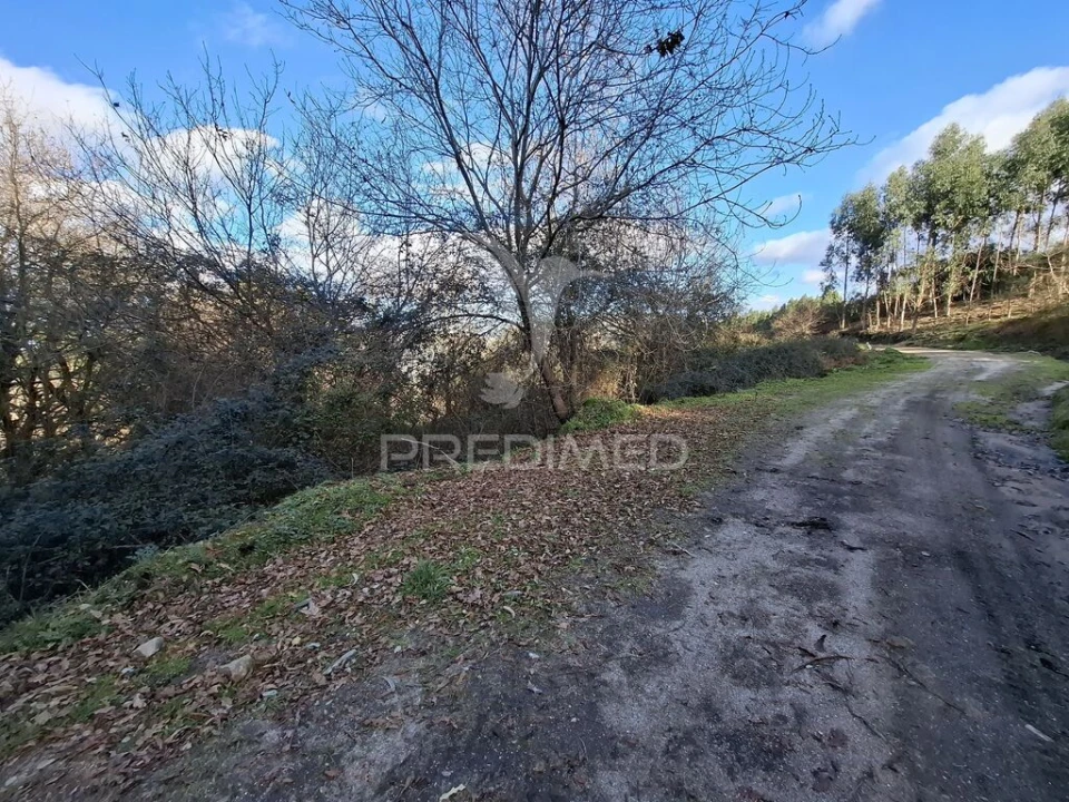Terreno para Venda em Valbom (São Pedro), Passô e Valbom (São Martinho) Foto 2