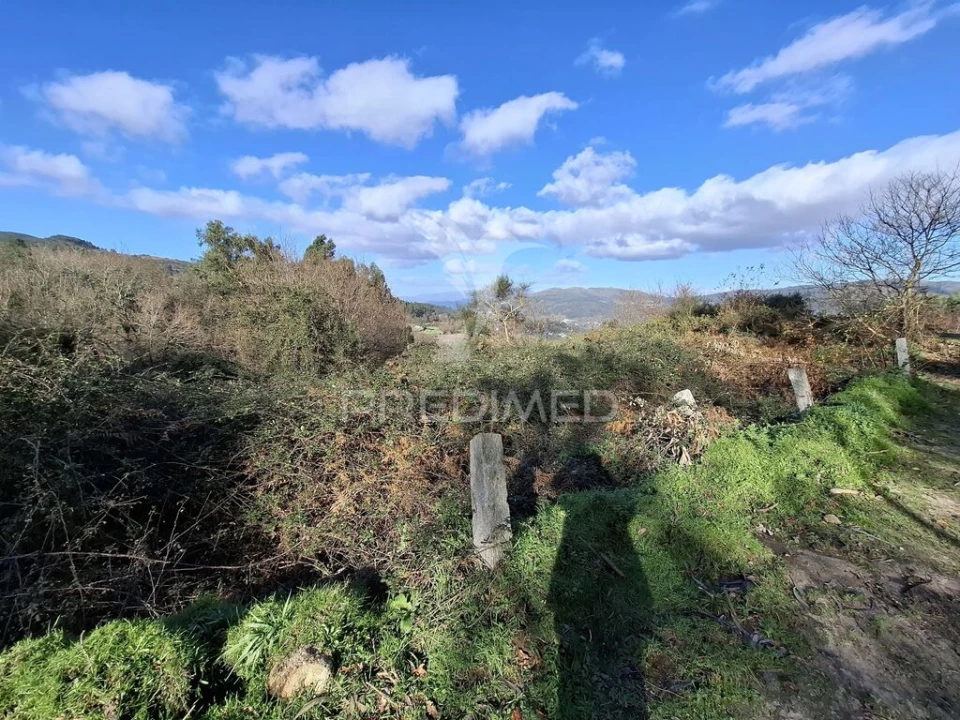 Terreno para Venda em Valbom (São Pedro), Passô e Valbom (São Martinho) Foto 3