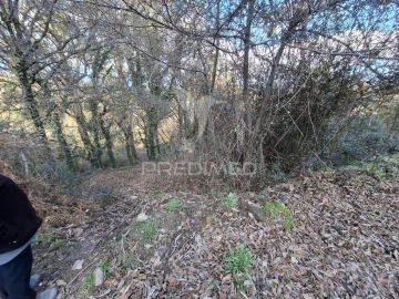 Terreno para Venda em Valbom (São Pedro), Passô e Valbom (São Martinho)