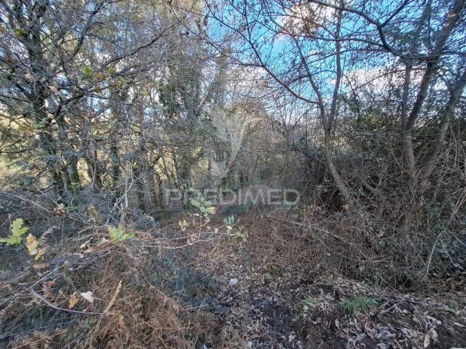 Terreno para Venda em Valbom (São Pedro), Passô e Valbom (São Martinho) Foto 14