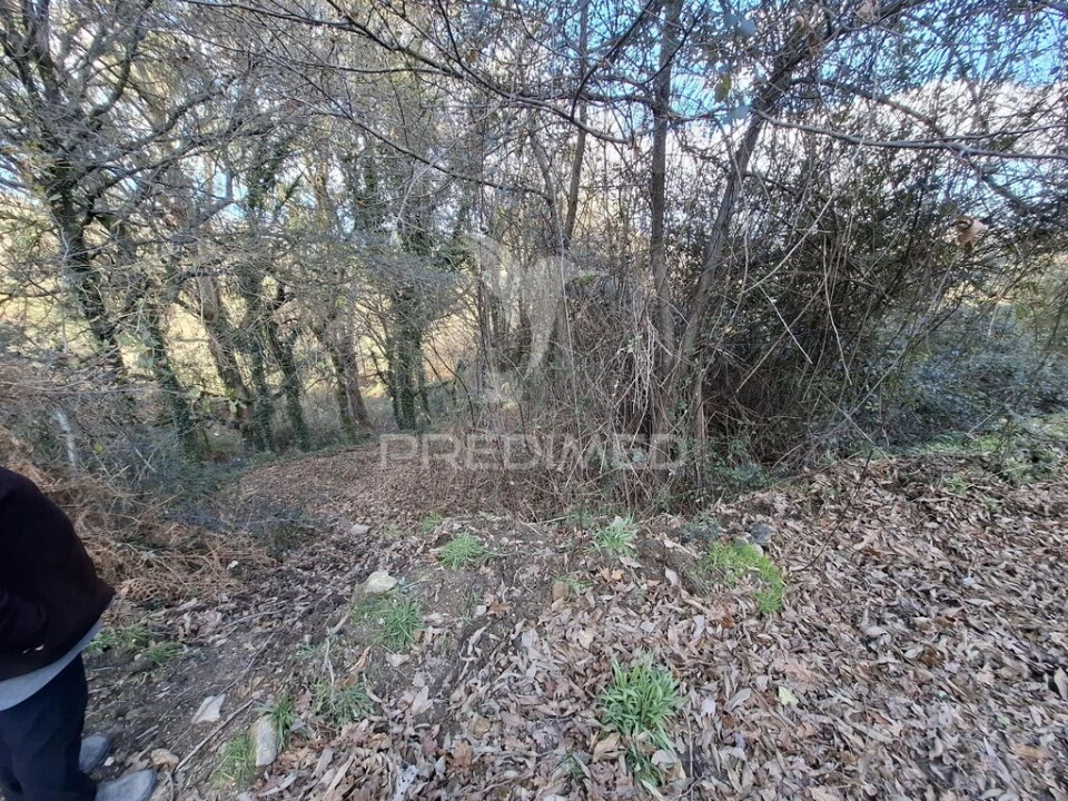 Terreno para Venda em Valbom (São Pedro), Passô e Valbom (São Martinho) Foto 11