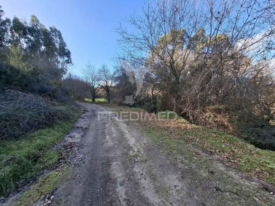 Terreno para Venda em Valbom (São Pedro), Passô e Valbom (São Martinho) Foto 1