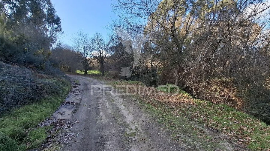 Terreno para Venda em Valbom (São Pedro), Passô e Valbom (São Martinho)