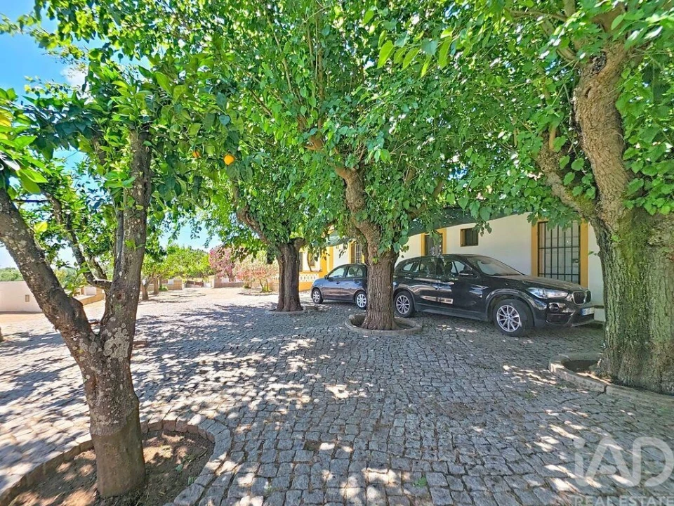 Quinta para Venda em Assunção, Ajuda, Salvador e Santo Ildefonso Foto 6