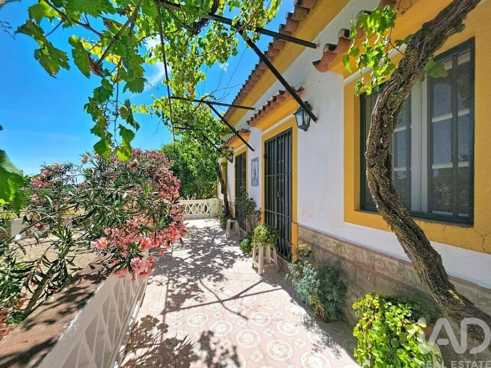 Quinta para Venda em Assunção, Ajuda, Salvador e Santo Ildefonso Foto 4