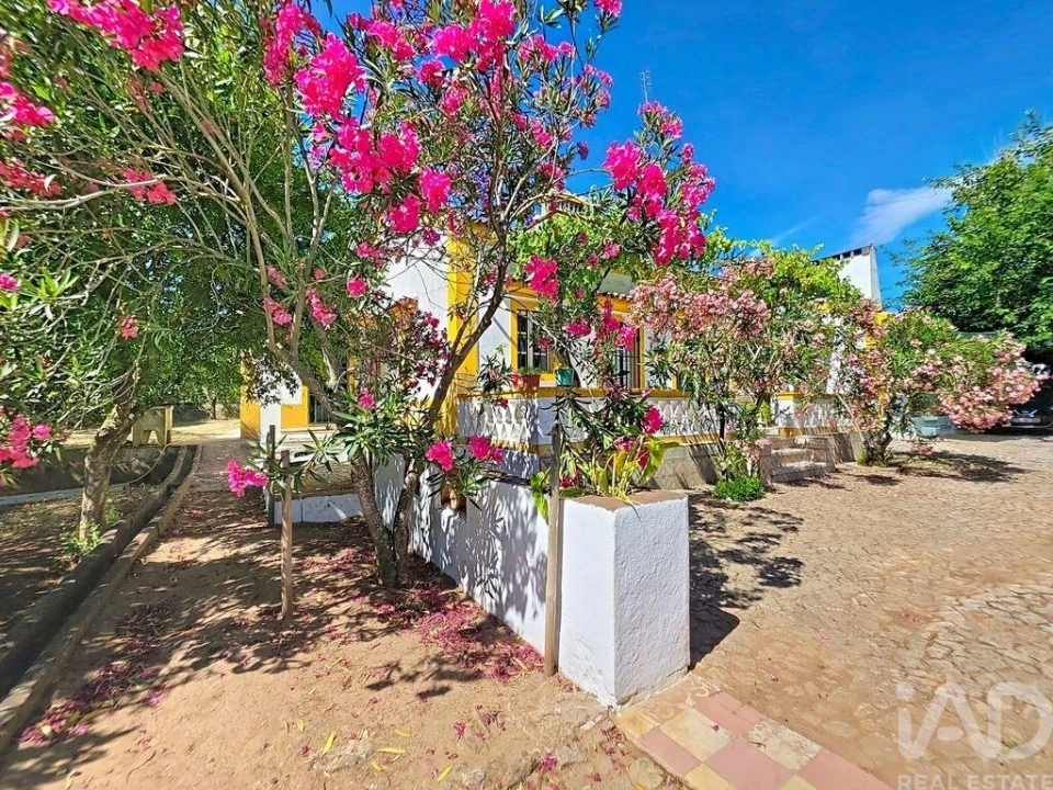 Quinta para Venda em Assunção, Ajuda, Salvador e Santo Ildefonso Foto 3