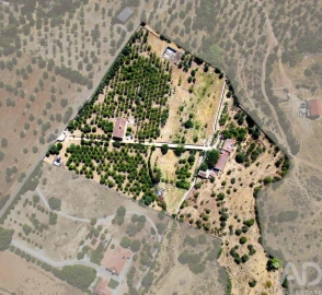Quinta T5 para Venda em Assunção, Ajuda, Salvador e Santo Ildefonso