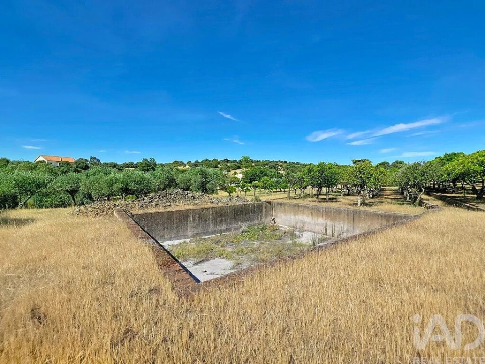 Quinta para Venda em Assunção, Ajuda, Salvador e Santo Ildefonso Foto 33
