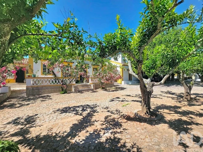 Quinta para Venda em Assunção, Ajuda, Salvador e Santo Ildefonso Foto 2